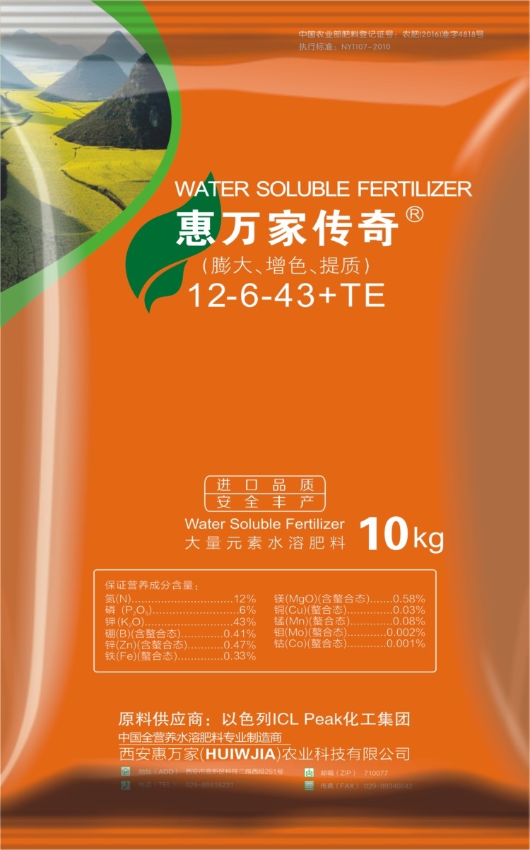 &#26032;&#21033;&#20307;&#32946;