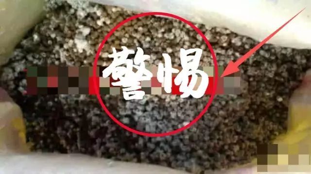 &#26032;&#21033;&#20307;&#32946;